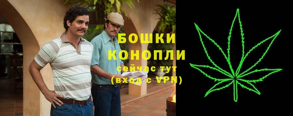 дурь Мегион