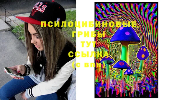 спайс Медвежьегорск