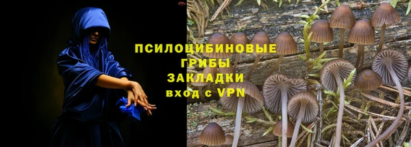 дурь Мегион