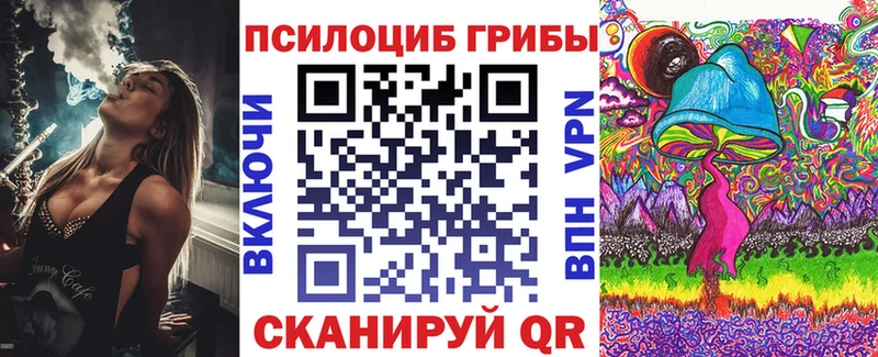 Галлюциногенные грибы Psilocybe Нефтегорск
